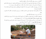 بهسازی سقف های طاق ضربی - Image 3