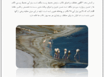 راه های احیا تالاب ها و دریاچه ها - Image 4