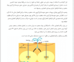 روش انفجاری در بهسازی خاک - Image 4