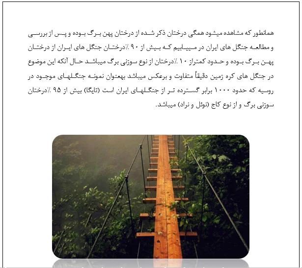 انواع پل ها و عملکرد آن ها در برابر زلزله - Image 5