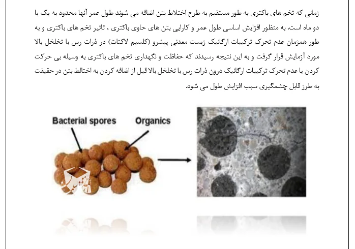 بتن های خود ترمیم شونده - Image 6