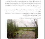 راه های احیا تالاب ها و دریاچه ها - Image 3
