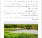 راه های احیا تالاب ها و دریاچه ها - Image 6