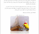 نفوذ رطوبت به ساختمان و راه های جلوگیری از آن - Image 3